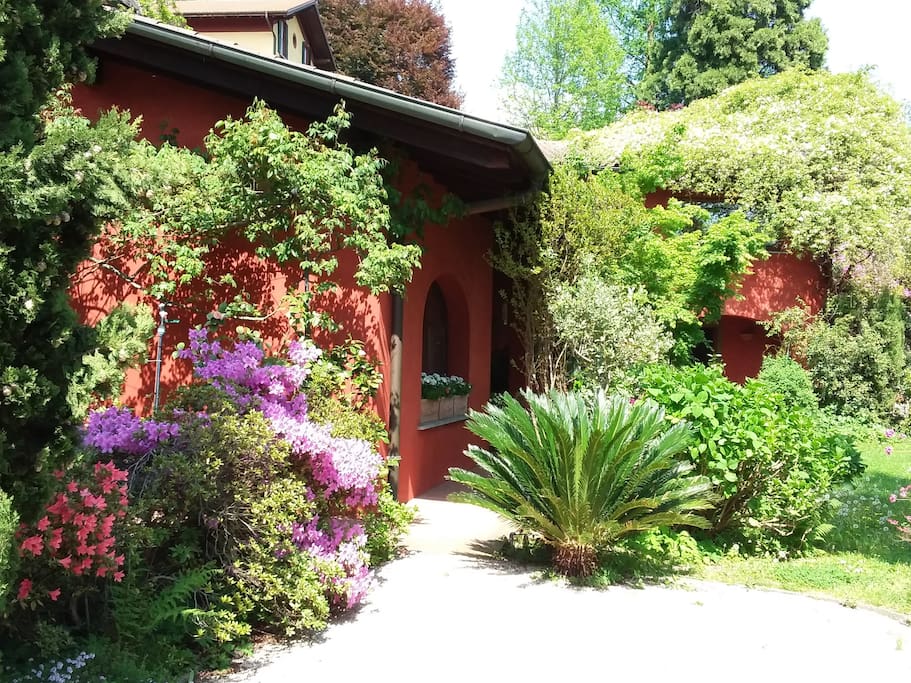 The house in spring