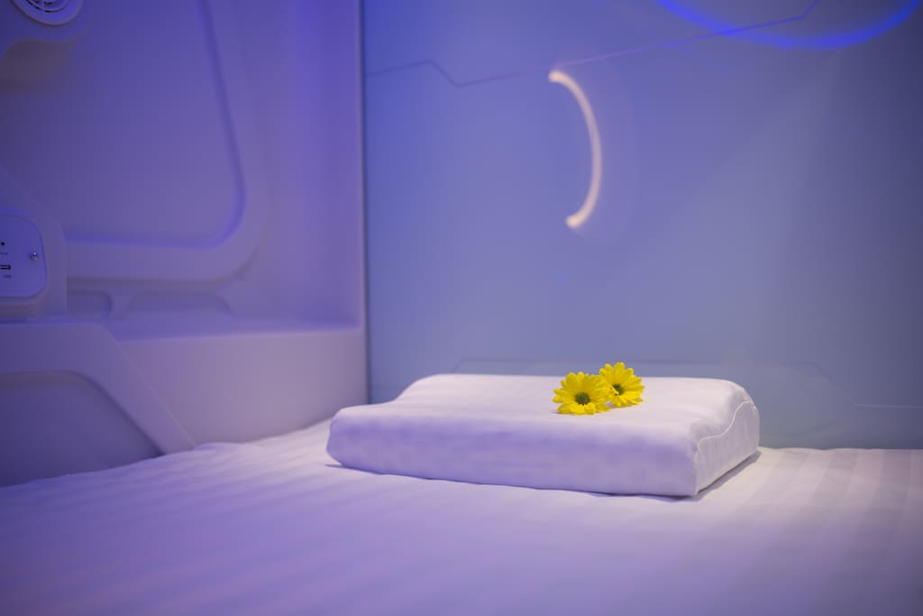 Capsule Bed