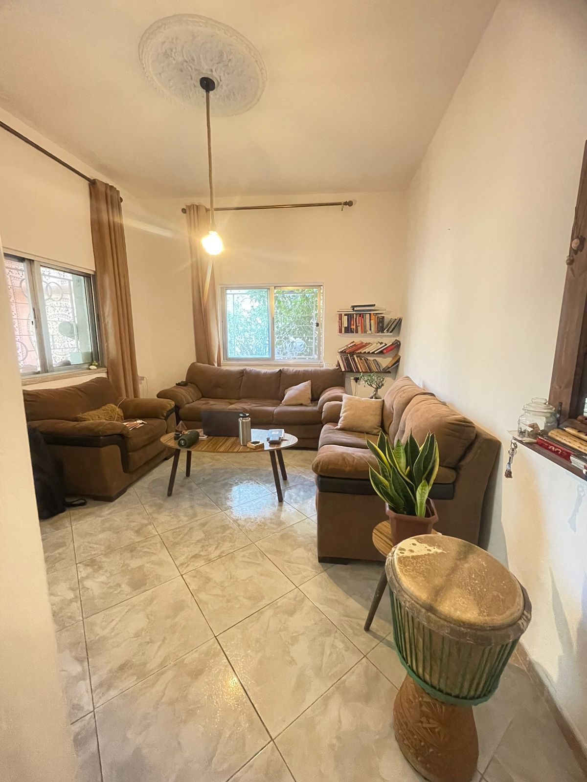 A comfortable living area features two brown sofas arranged around a central coffee table. Natural light enters through the windows, illuminating one wall adorned with bookshelves. A potted plant adds a touch of greenery, and a decorative drum completes the inviting setup.