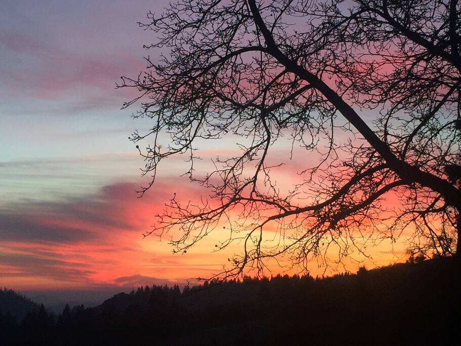 Sunrise
