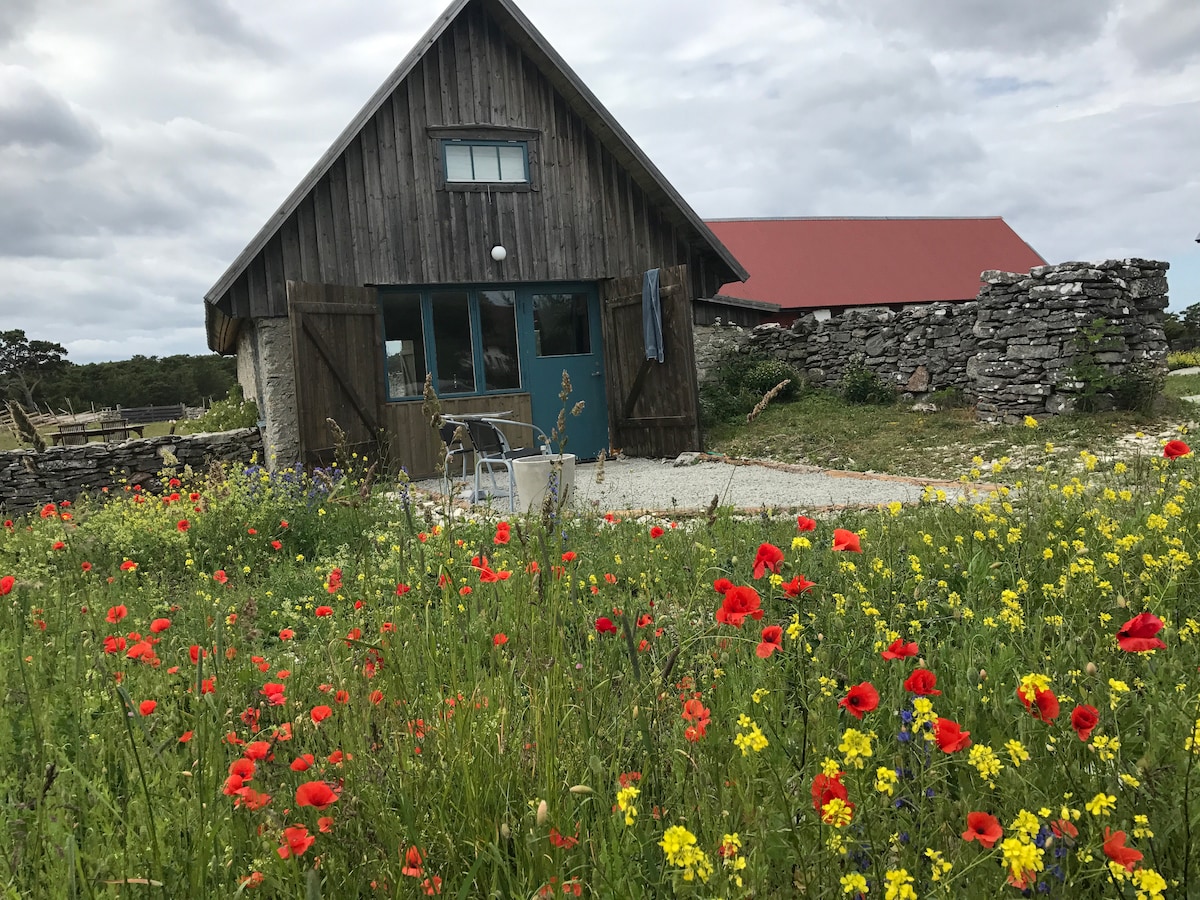 A rustic wooden house is framed by a vibrant flower bed, featuring red poppies and yellow blooms. The building has a blue door and is completed by a tin red roof, with a stone wall indicating the boundary of the property.