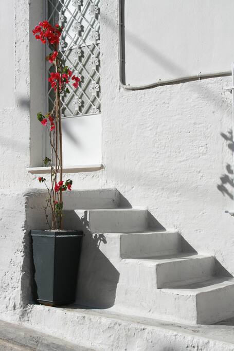Entrance of the elevated ground floor.