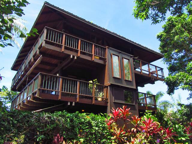 Tropical Ocean View 4 bd + Loft Sleeps 10 gallery image 2