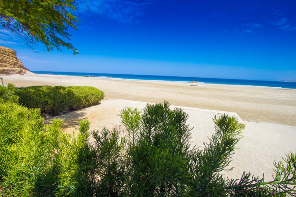 Gran playa que invita a caminar horas.
