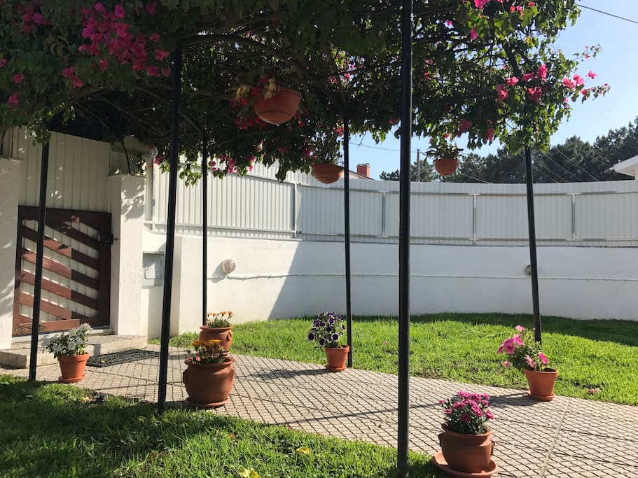 Jardim