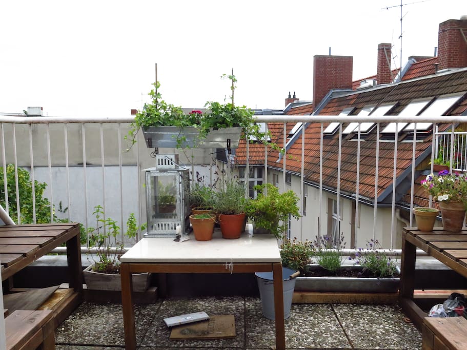 terrace