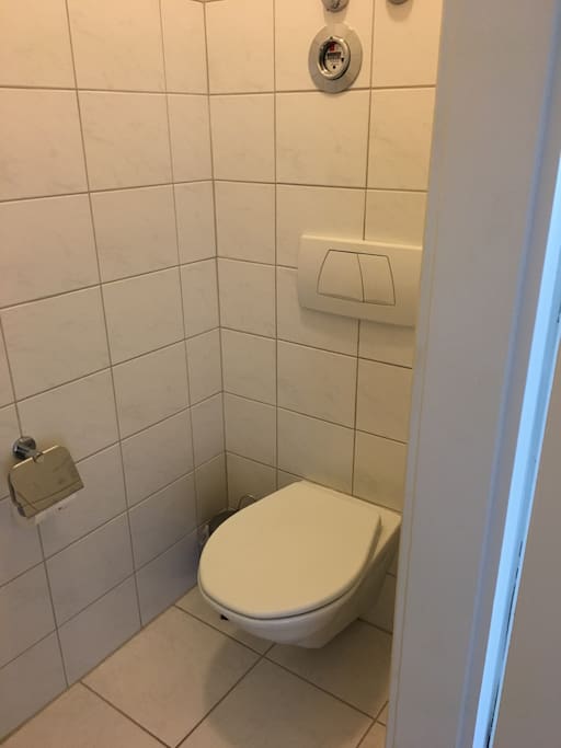 Separate toilet