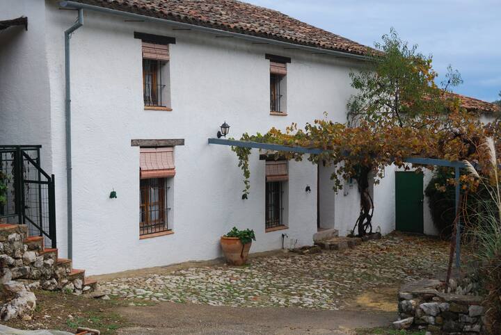 Casa Rural El Tinte Piscina Chimenea Casas Rurales En Alquiler En Grazalema Espana