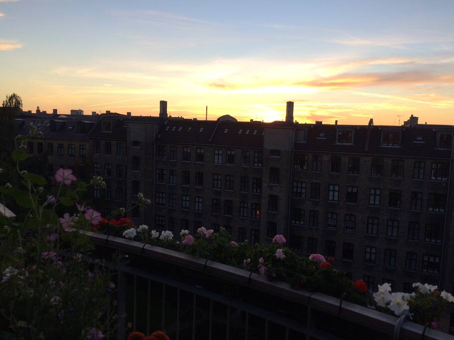 Summer view