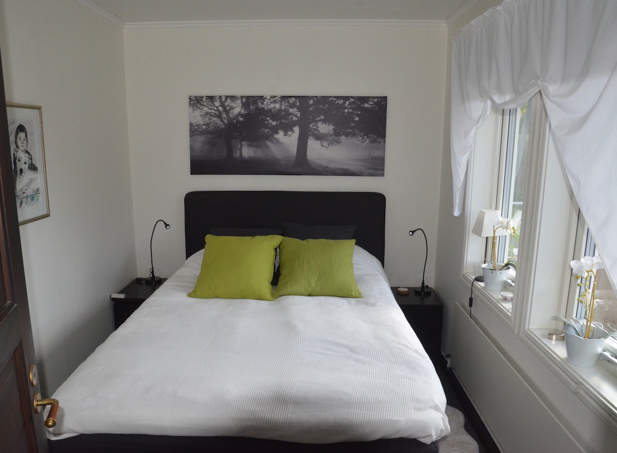 A modern bedroom features a spacious bed adorned with a white duvet and two green accent pillows. Nightstands with lamps are positioned on either side. A black-and-white landscape photo hangs above the bed. Natural light enters from the large window dressed with a white curtain.