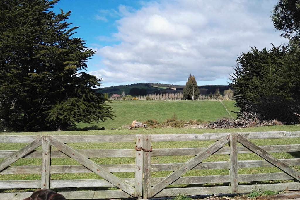 View into surrounding hills
