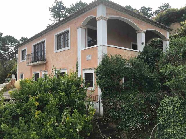 Casa nas Nuvens Main House – mountain/ocean views gallery image 3