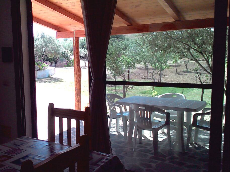 Vista del terrazzo (dall'interno) che dà sull'ampio uliveto