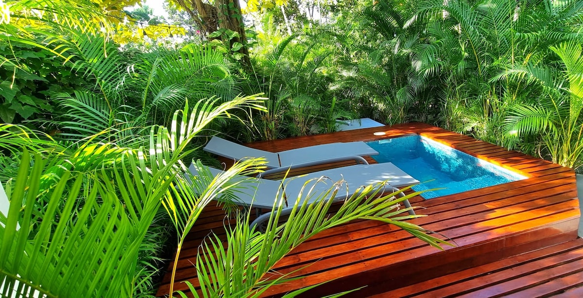 A private plunge pool is set within a wooden deck surrounded by lush tropical foliage. Two lounge chairs, positioned beside the pool, offer a relaxing spot in a serene and green environment.