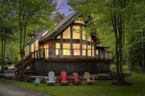 Upscale Chalet Style Retreat with Jacuzzi SwimSpa