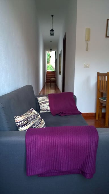 Sofá-cama + vista del pasillo y puerta de entrada.