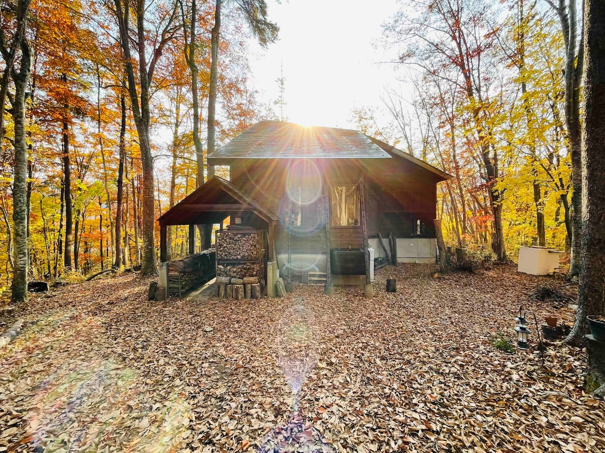 森の家PIKOA HOUSE（ピコアハウス）源泉掛け流し1日1組限定