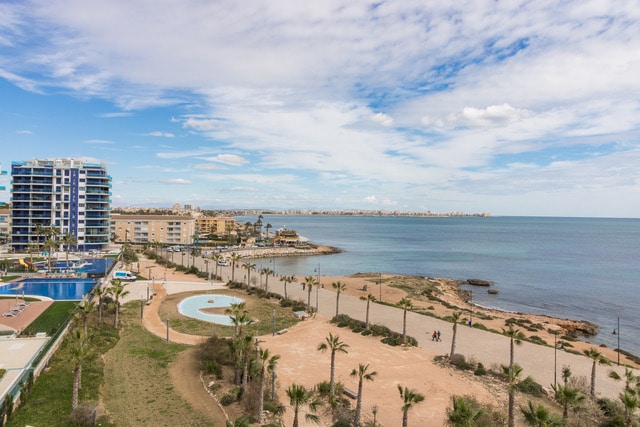 A sweeping view reveals a serene beachfront with palm trees lining the shore. The tranquil sea extends towards the horizon under a partly cloudy sky, while a pool area and landscaped grounds can be seen in the foreground, enhancing the coastal landscape.