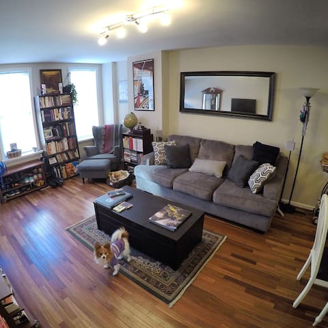 Inviting South Philly room /private