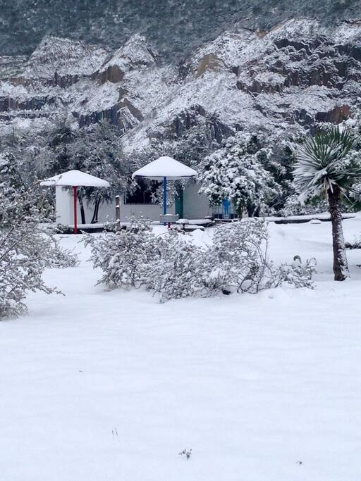 Front yard covered with snow
