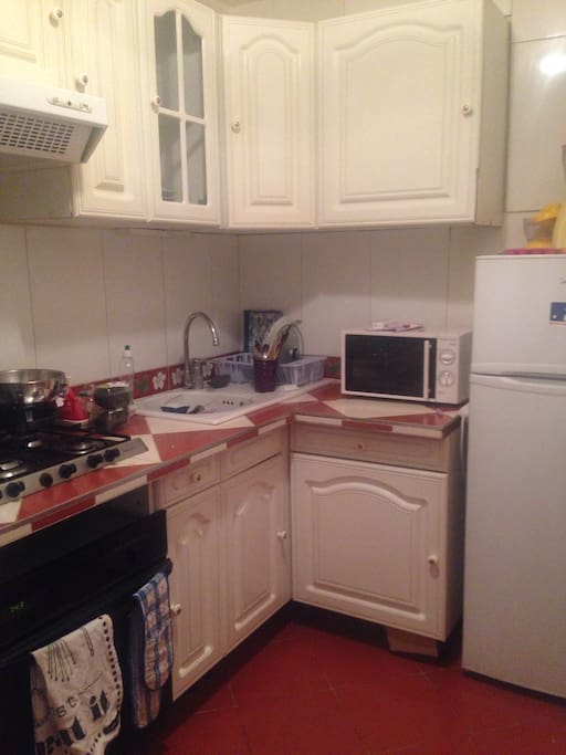 Kitchen with fridge, freezer, microwave, oven