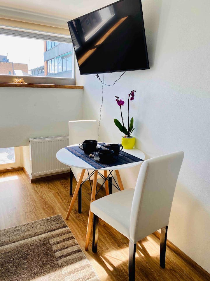 Cozy studio apartment near city center Apartments for Rent in Tartu, Tartu maakond, Estonia