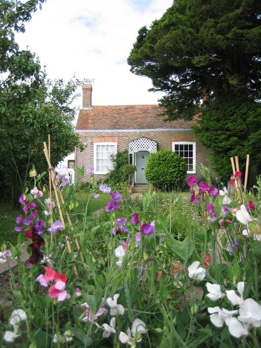 Ivy Cottage front garden