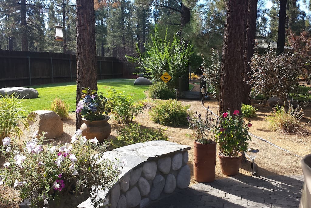 Rock benches and back yard