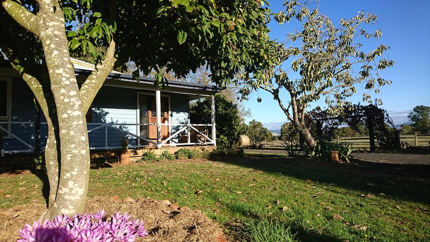 Bloomfields Studio Apartment