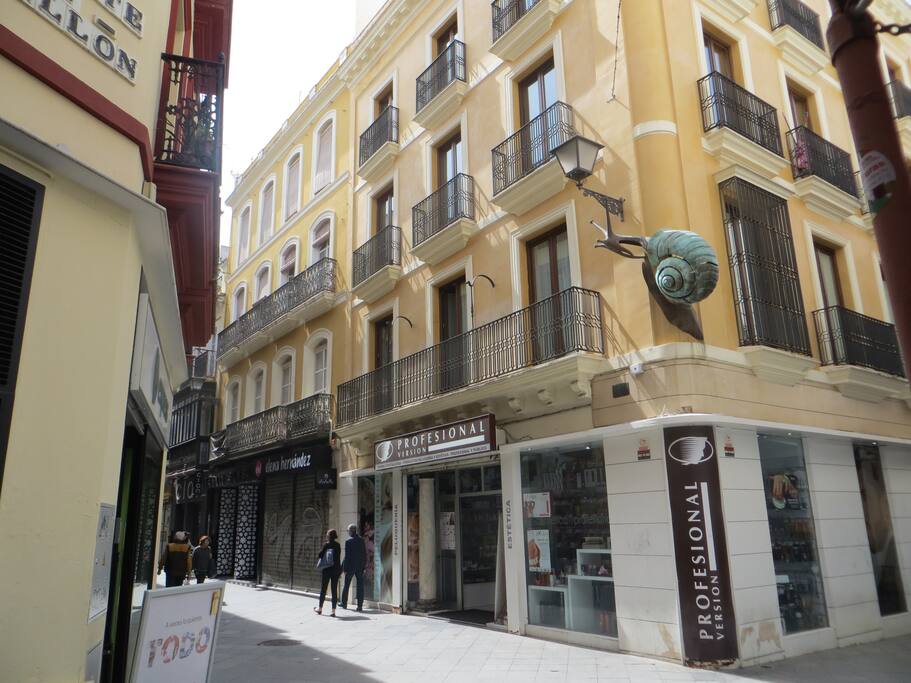 calle Lineros