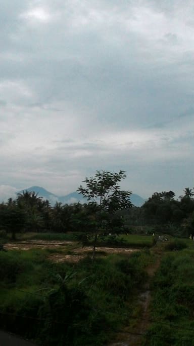 Mountain puncak mangu view ...