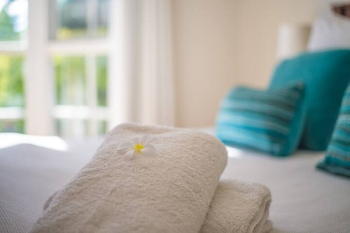 The White House gallery image 4