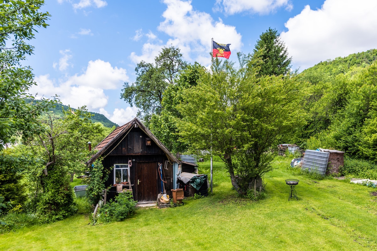 A rustic farmhouse is surrounded by lush greenery, with a vibrant German flag waving in the breeze. The structure features wooden accents and a welcoming entrance, complemented by a spacious garden that invites relaxation and outdoor activities.