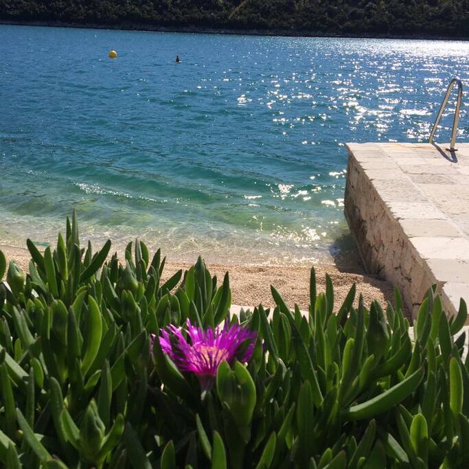Villa Regina Maris, beach, sea and sun. Dubrovnik Riviera