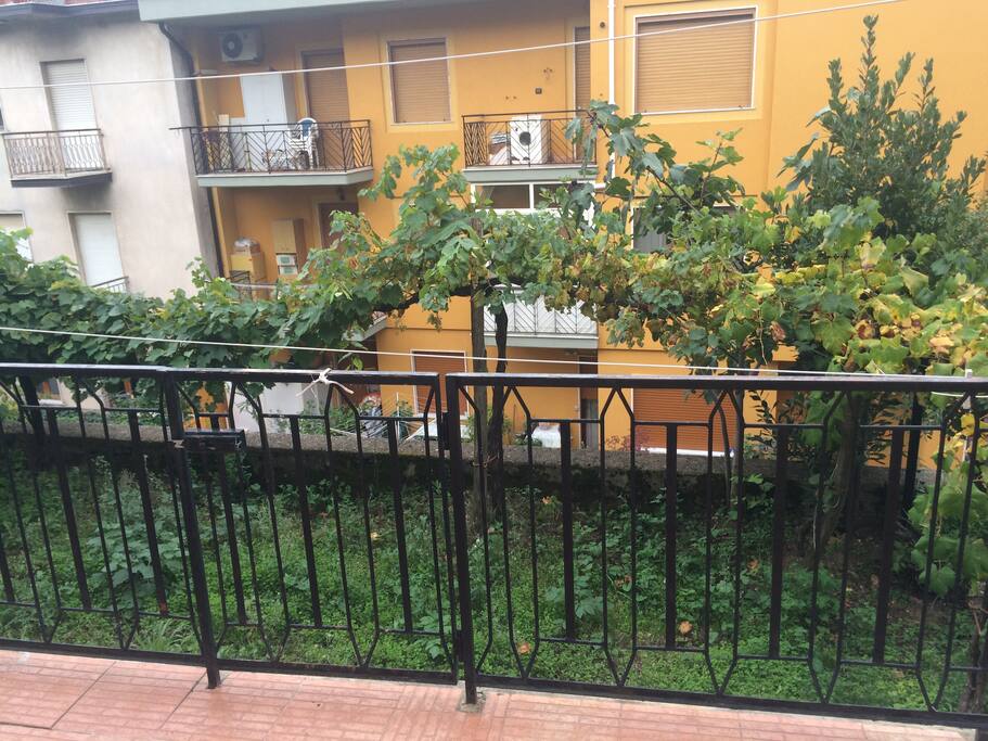Giardino