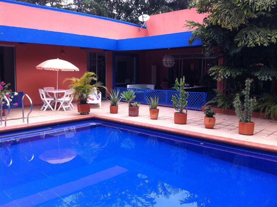 The swimming-pool.