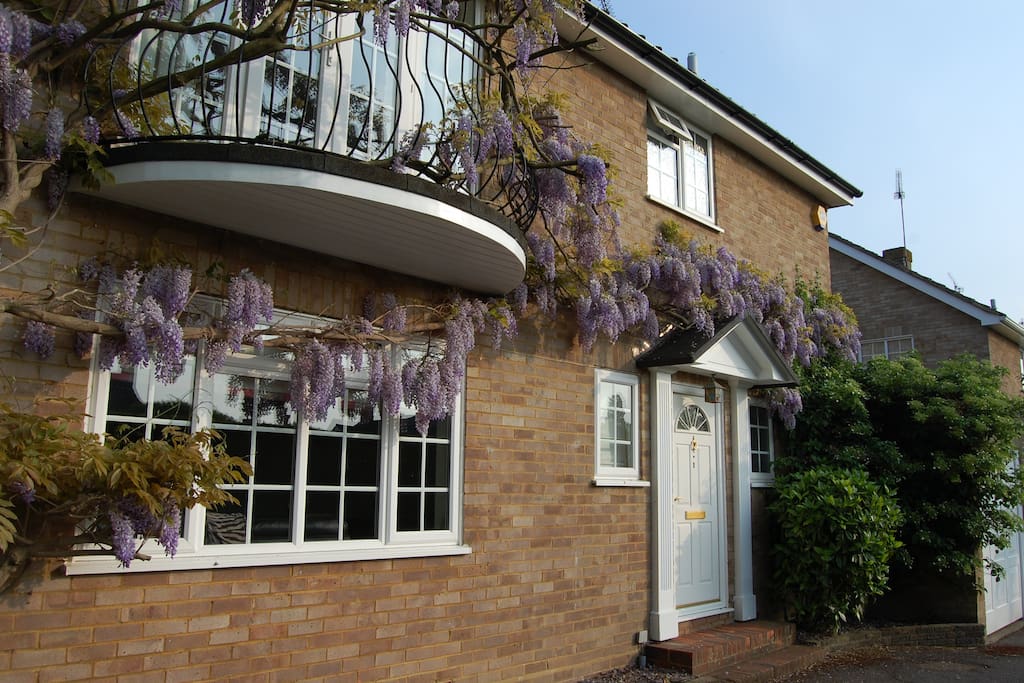 Room To Rent In Bookham Surrey Room To Rent In Bookham Surrey