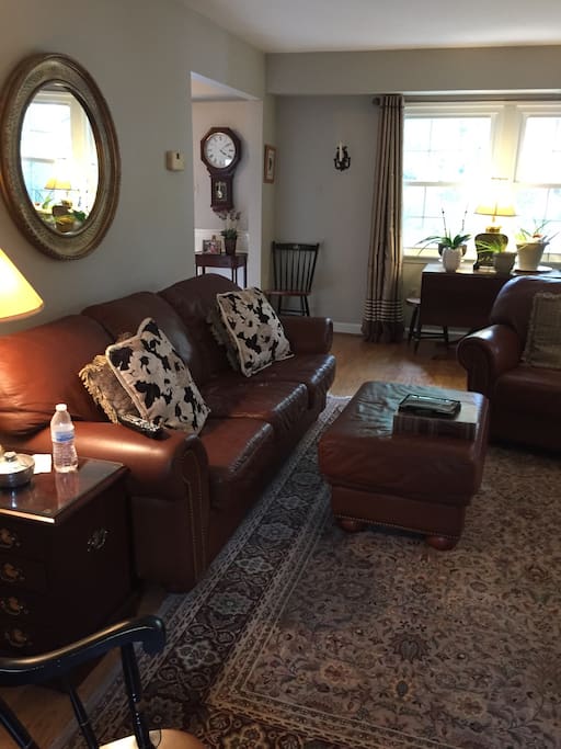 Spacious Family Room
