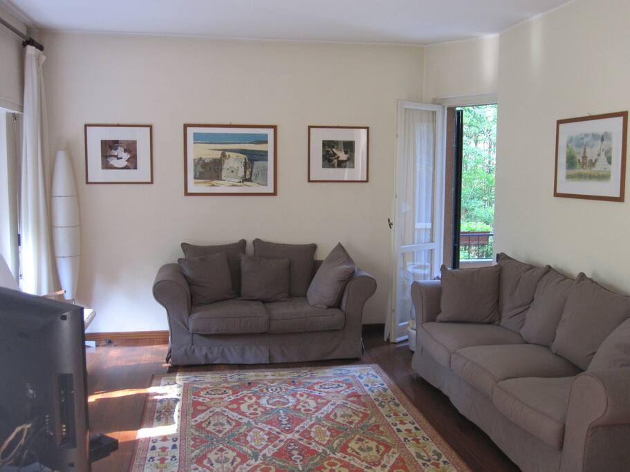 Sala televisione con vista sul bosco