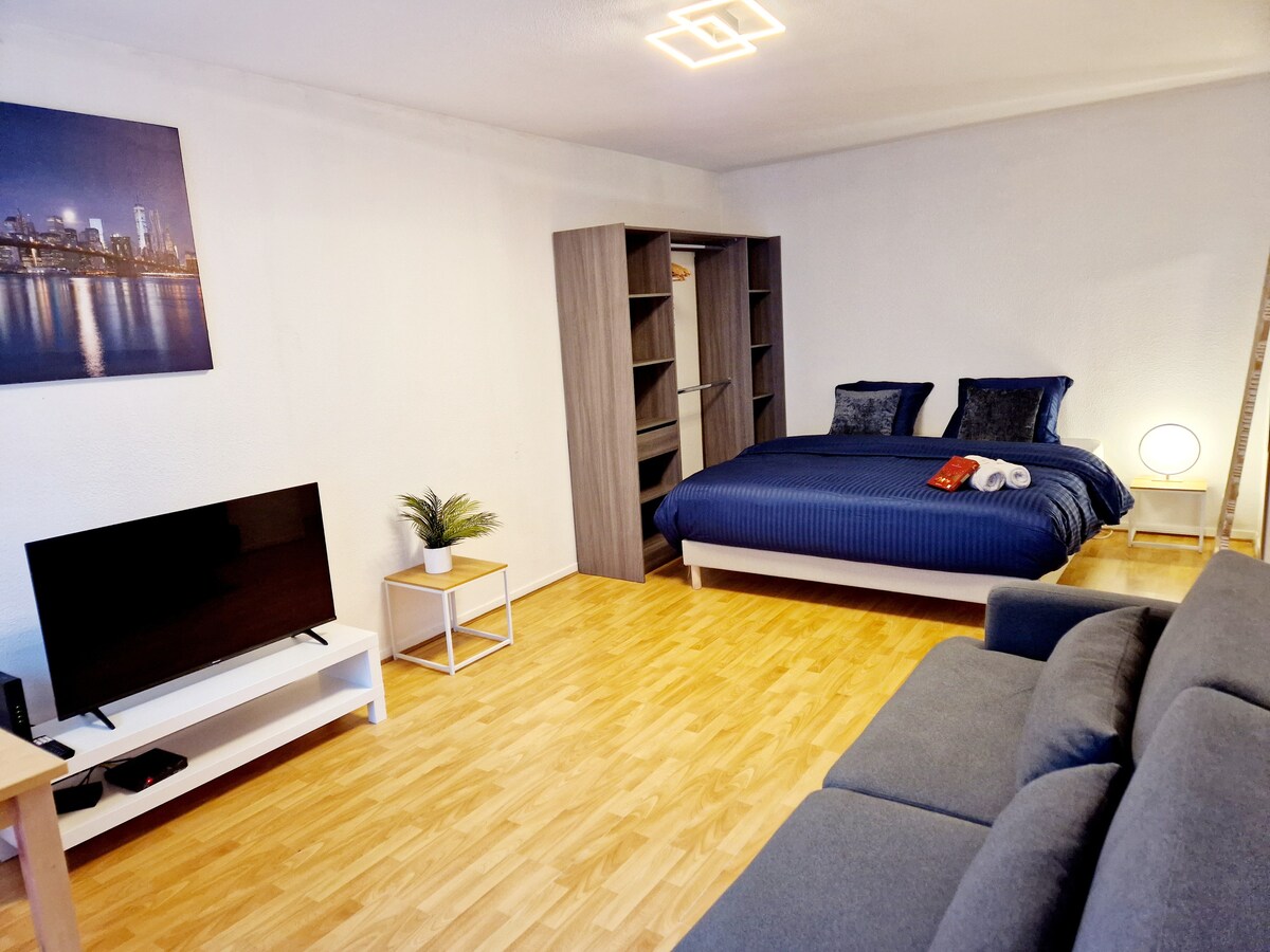 Airbnb performant: apartment 20 min from Geneva. double sup 60 m² garden à Annemasse