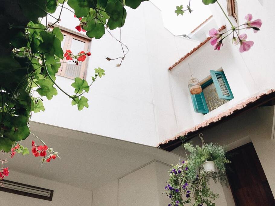 The front of our home, the house main colour is white for both exterior and interior. We love nature so you will find plants and flowers in almost every corner of the house.