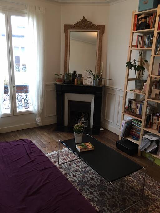 Living room with pull-out couch