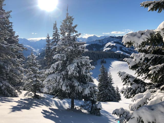 Au Chalet, plaisir de détente, harmonie et Wellnes