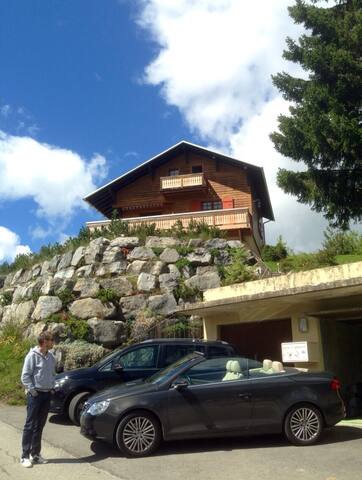 Chalet Alps Villars-Gryon-les Diablerets gallery image 5