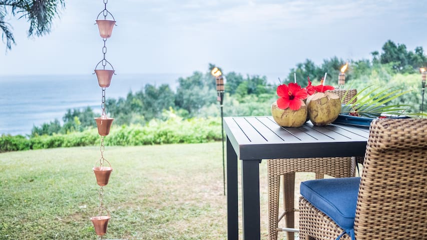 Kauai Haven ii, Ocean Front Stunning, includes a/c