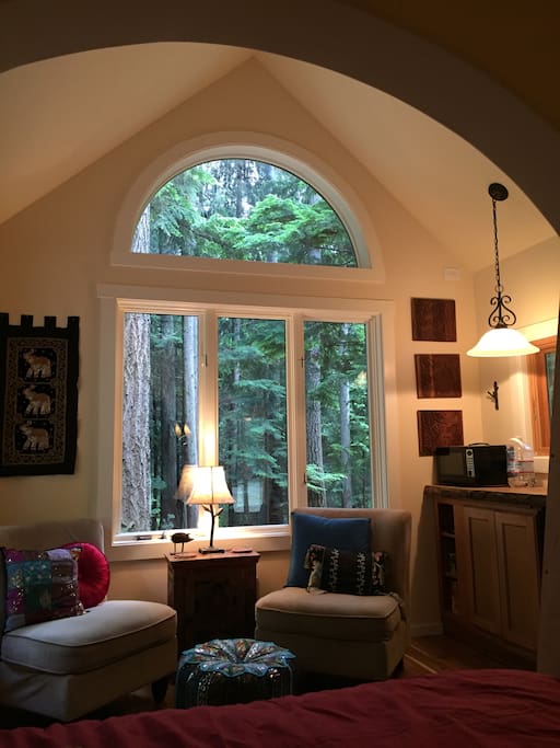 Main Cabin