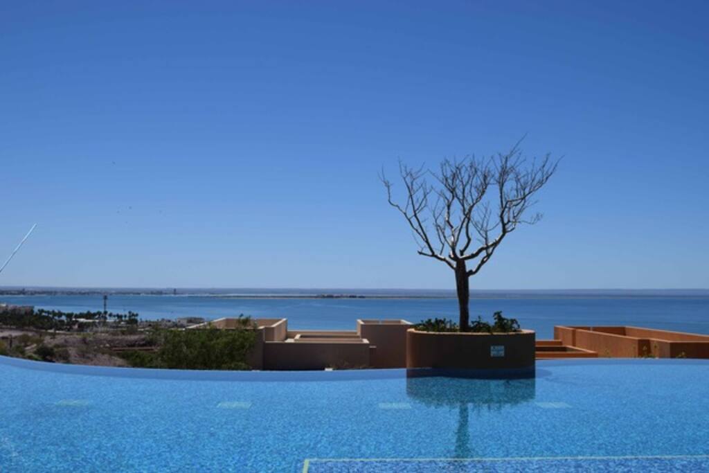 Welcome to Costabaja Resort. A prime seat waiting for you to enjoy the World´s greatest aquarium.