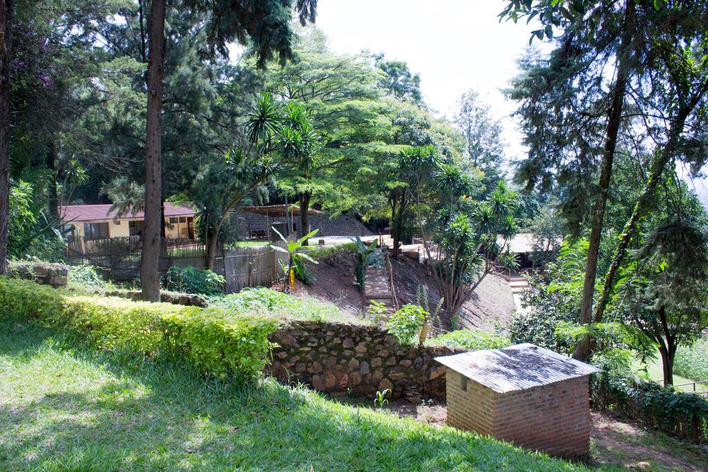 View to the next door compound which is shared. There is private yoga/meditation studio there.