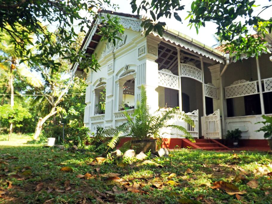 Our house - you see how nice it is)