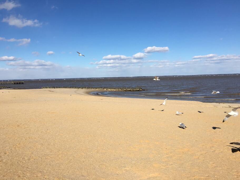 Beach